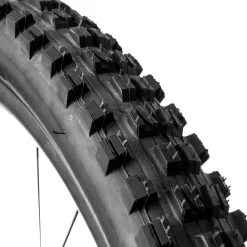 Minion DHF 3C/EXO/TR 24in Tire