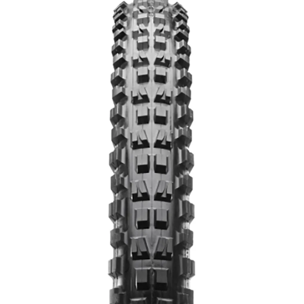 Minion DHF Dual Compound EXO/TR Tire - 26in