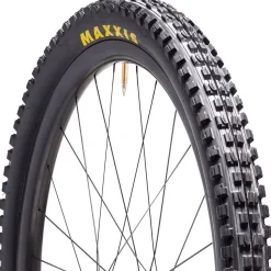 Minion DHF 29in Tire