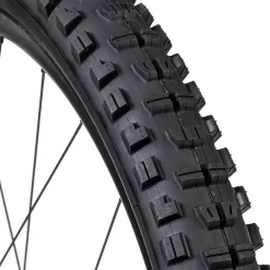 Minion DHR II 3C/EXO/TR 27.5 Plus Tire