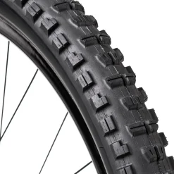 Minion DHR II 3C/EXO/TR Tire - 29 Plus