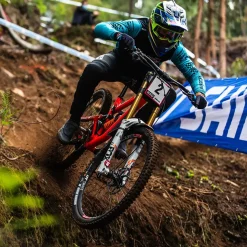 Minion DHR II 3C Grip/EXO+/Wide-Trail/TR 29in Tire