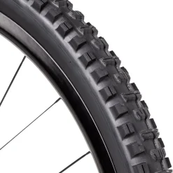 Minion DHR II Double Down/3C/TR Tire - 29in