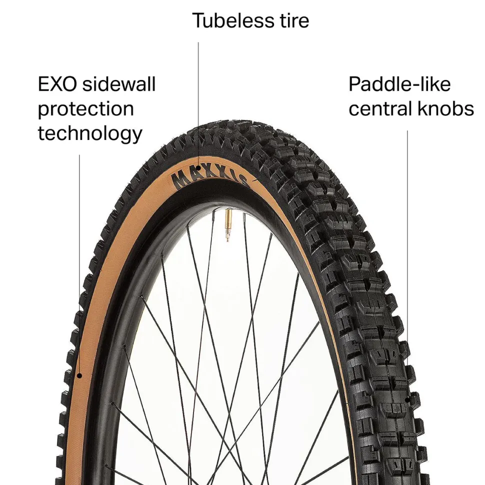 Minion DHR II Wide Trail 3C/EXO/TR 29in Tire