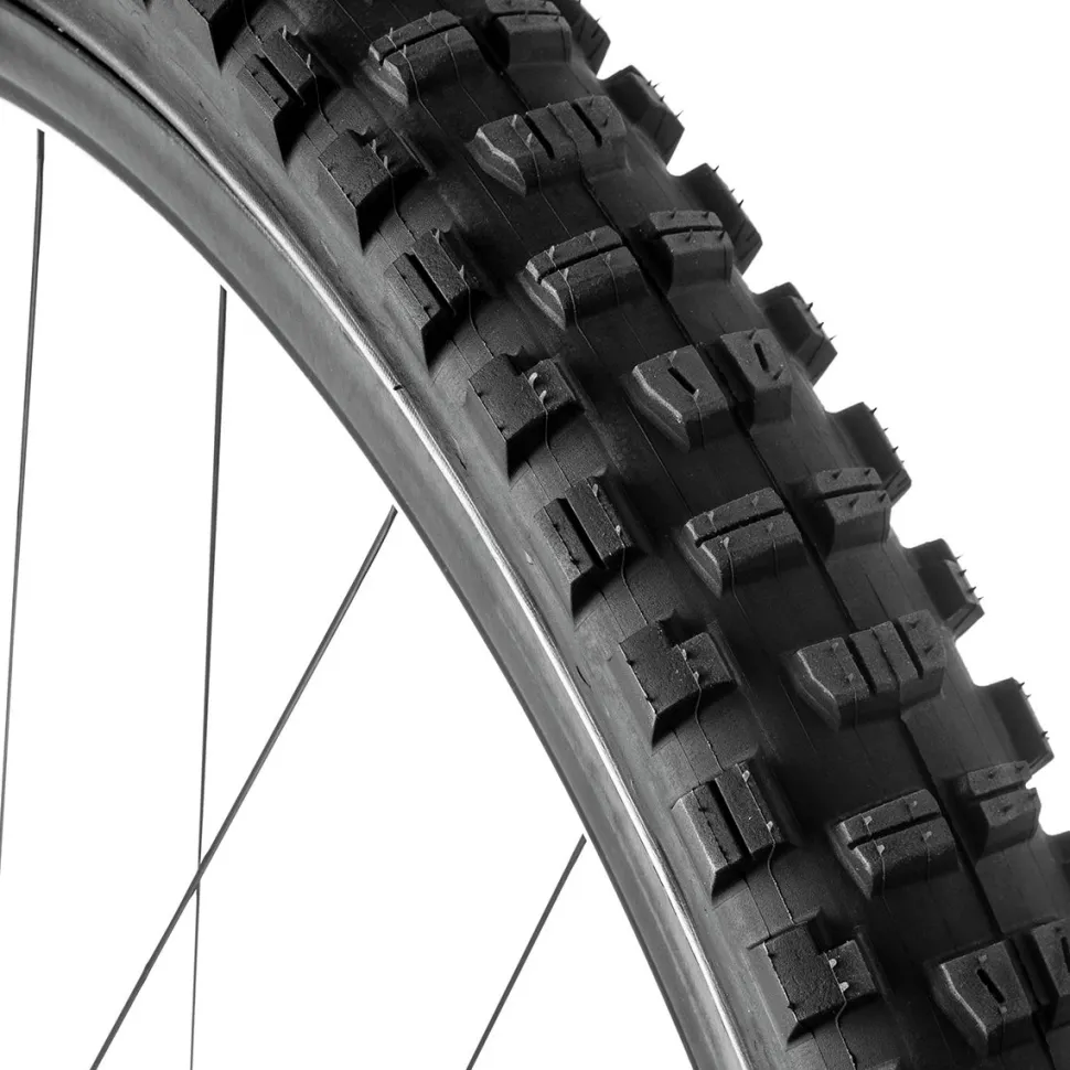 Minion DHR II Wide Trail 3C/TR Tire - 29in