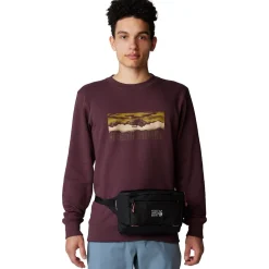 Mt. Whitney Crew Sweatshirt - Men's