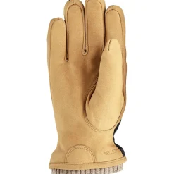 Noah Glove