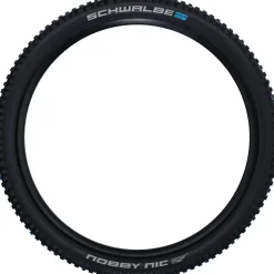 Nobby Nic Evolution Tubeless Tire - 29in