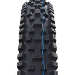 Nobby Nic Evolution Tubeless Tire - 29in