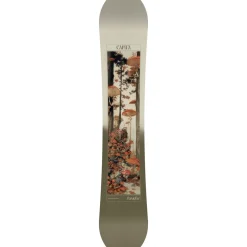 Paradise Snowboard - 2026 - Women's