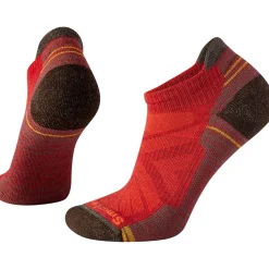Performance Hike Light Cushion Low Ankle Sock - Women's