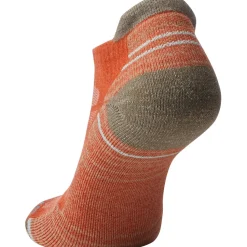 Performance Hike Light Cushion Low Ankle Sock - Women's