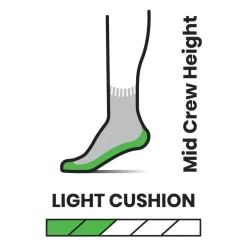 Performance Hike Light Cushion Striped Mid Crew Sock