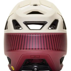 Proframe RS Helmet