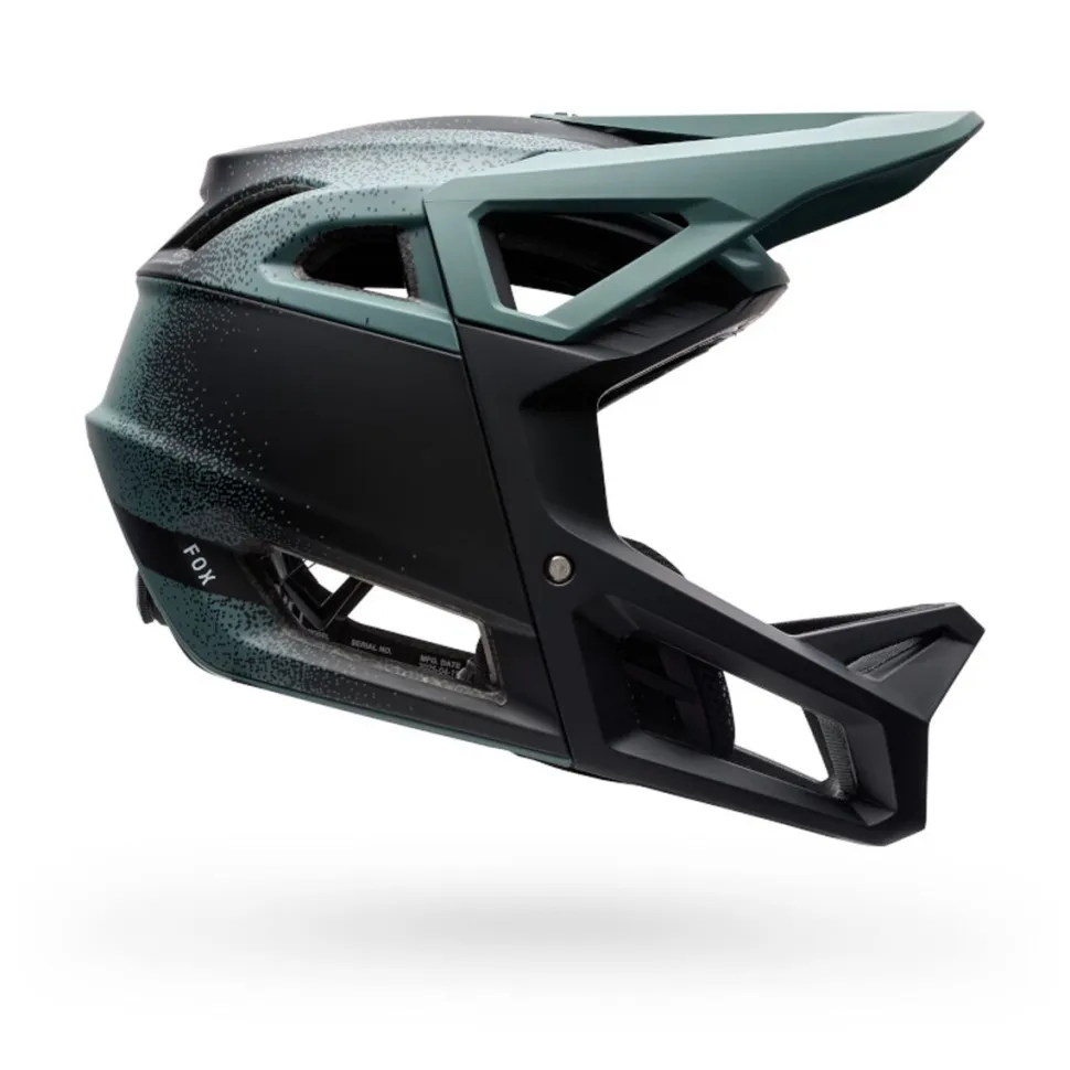 Proframe RS Helmet