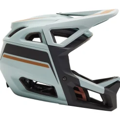 Proframe RS Helmet