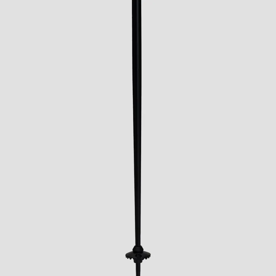 QNTM Ski Poles