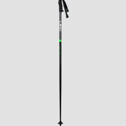 QNTM Ski Poles