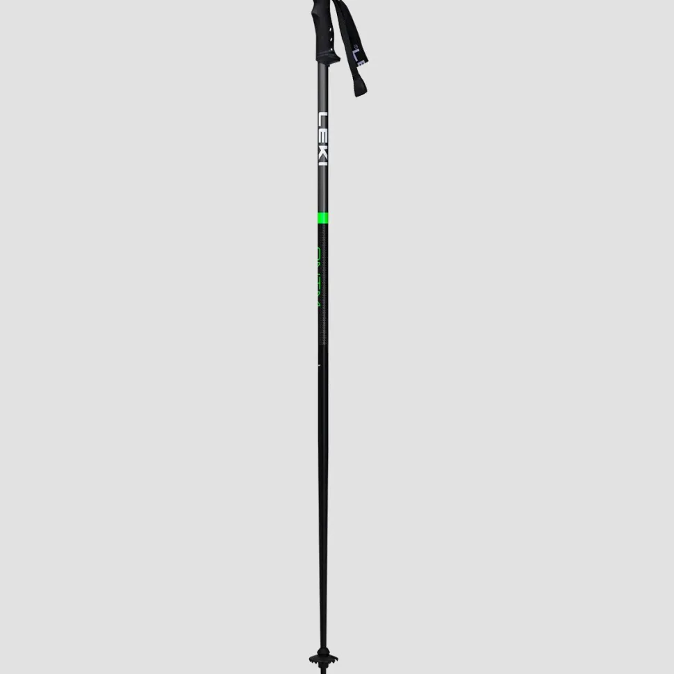 QNTM Ski Poles