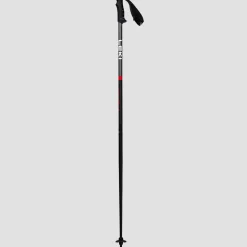 QNTM Ski Poles
