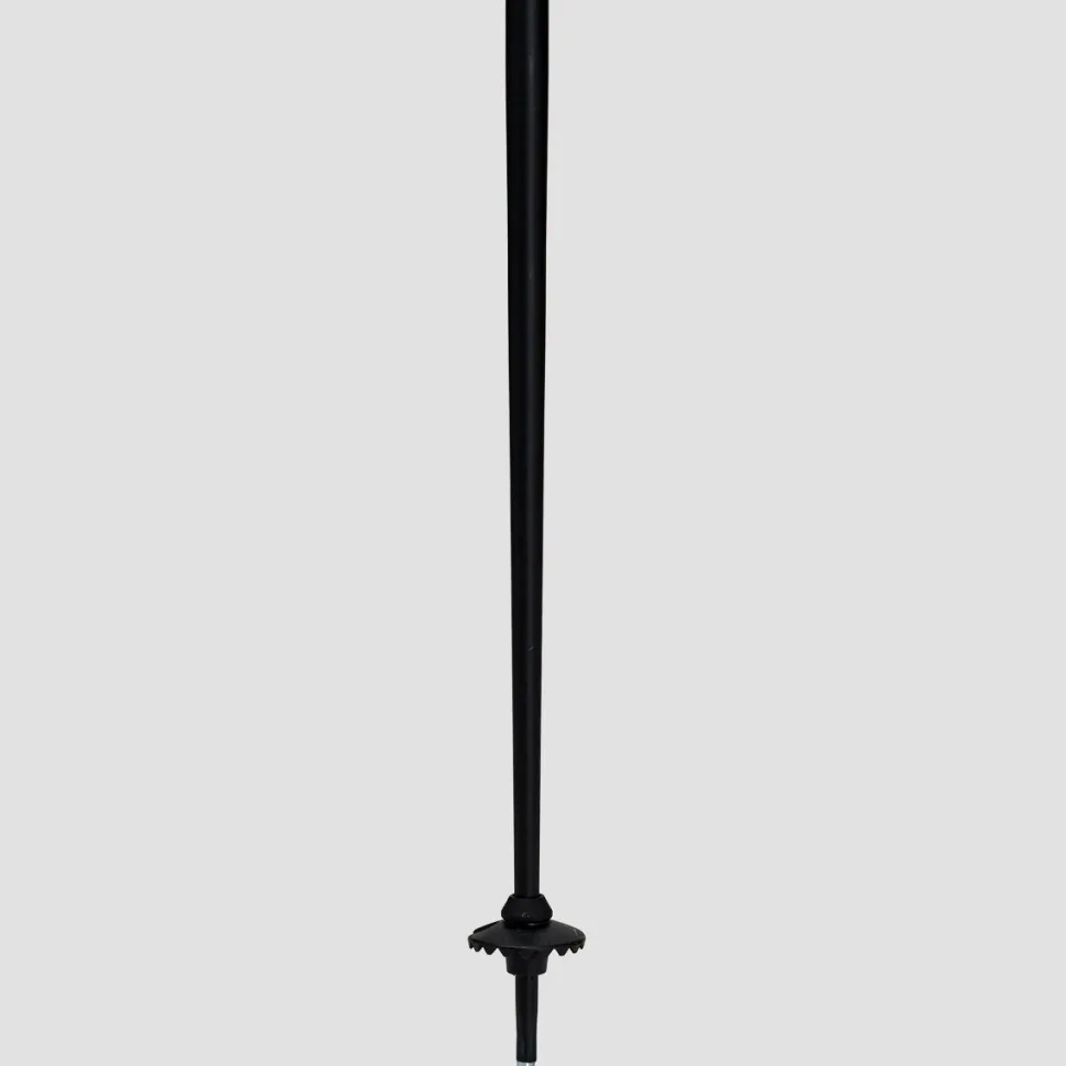 QNTM Ski Poles
