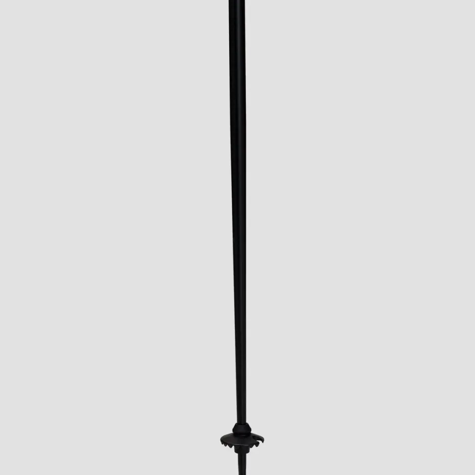 QNTM Ski Poles