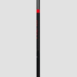 QNTM Ski Poles