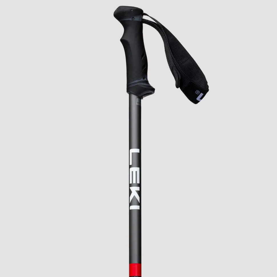 QNTM Ski Poles