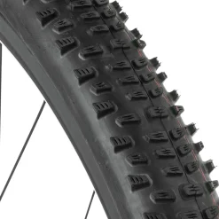 Racing Ralph Addix Tire - 29in
