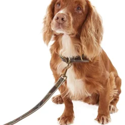 Reflective Tartan Dog Lead