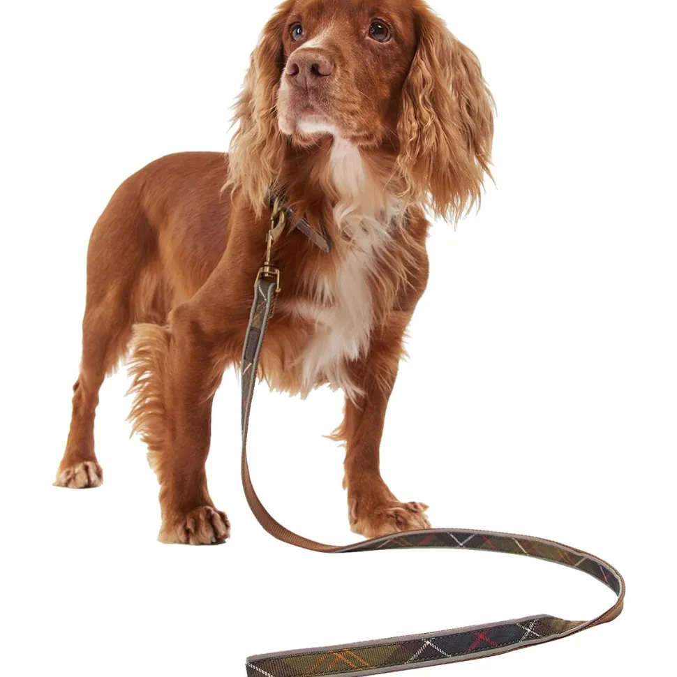 Reflective Tartan Dog Lead