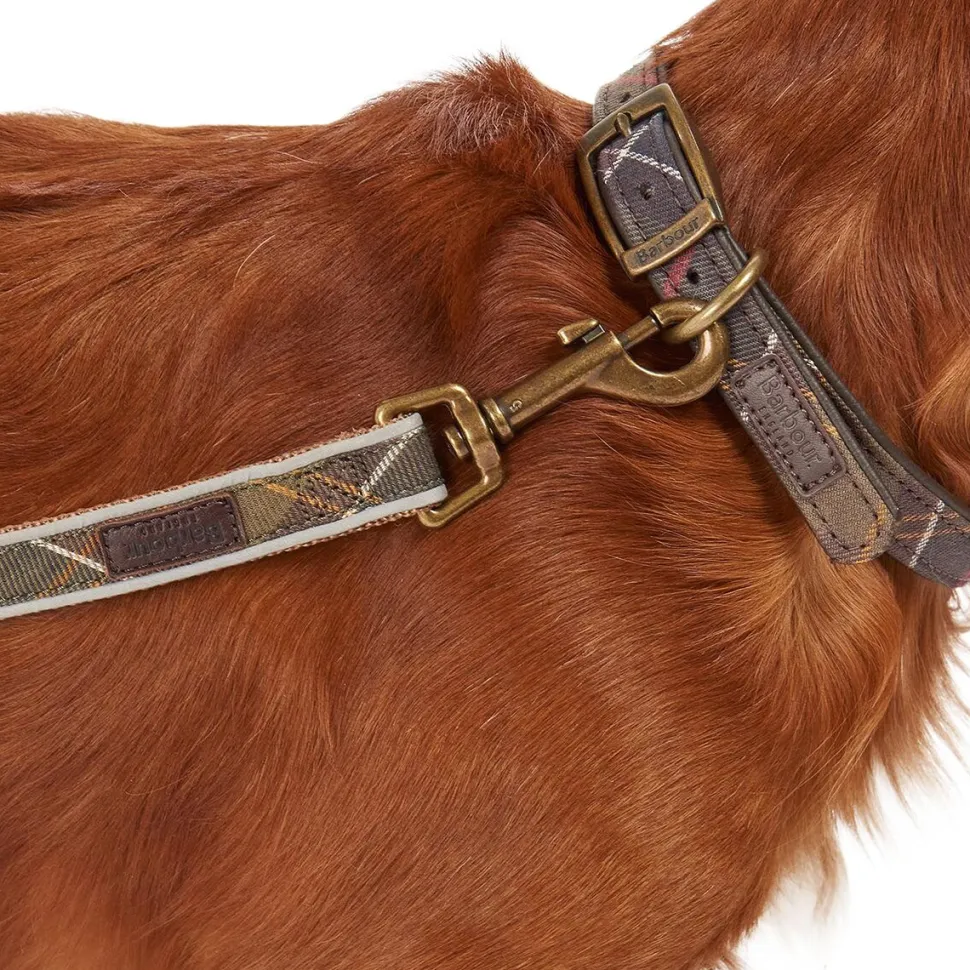 Reflective Tartan Dog Lead