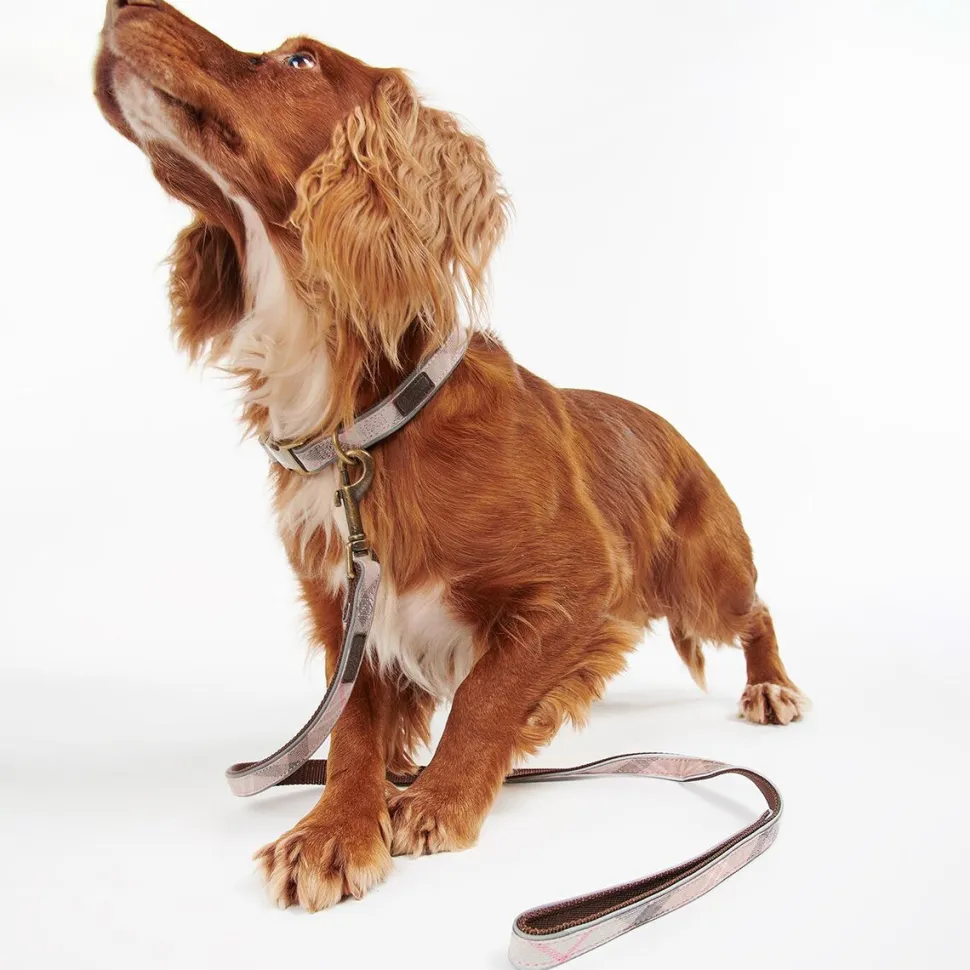 Reflective Tartan Dog Lead