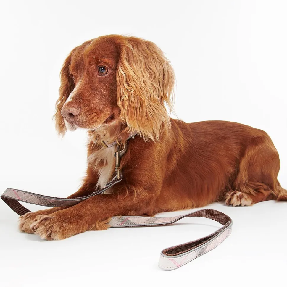 Reflective Tartan Dog Lead