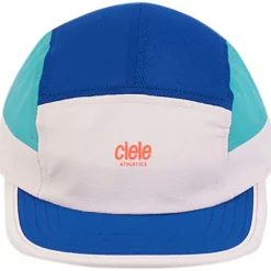 Small ALZCap