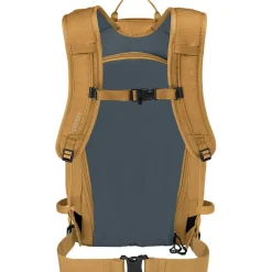Soelden 22L Backpack