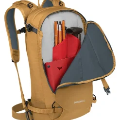 Soelden 22L Backpack
