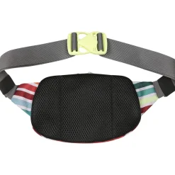 Spectator Waist Pack