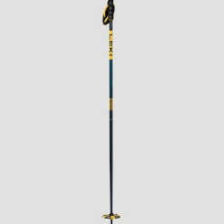 Spitfire 3D Ski Poles