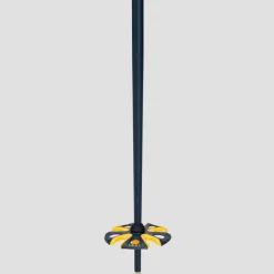 Spitfire 3D Ski Poles
