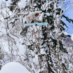 Stale Fish Snowboard - 2026