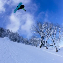 Stale Fish Snowboard - 2026