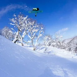 Stale Fish Snowboard - 2026
