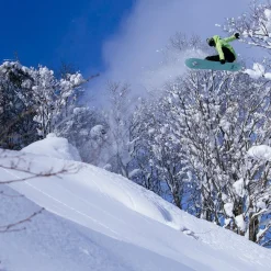 Stale Fish Snowboard - 2026