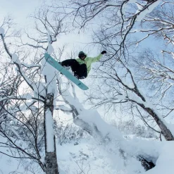 Stale Fish Snowboard - 2026