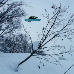 Stale Fish Snowboard - 2026