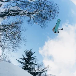 Stale Fish Snowboard - 2026