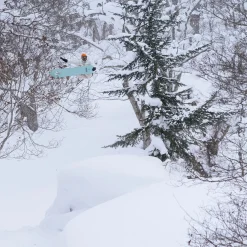 Stale Fish Snowboard - 2026