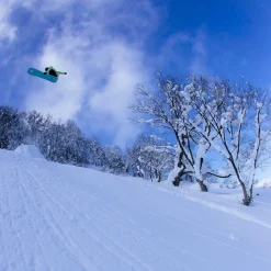 Stale Fish Snowboard - 2026