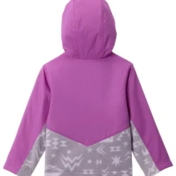 Steens Mt II Overlay Hoodie - Toddlers'